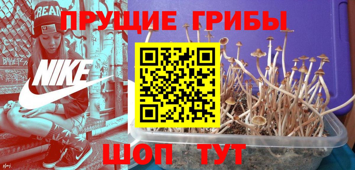 Галлюциногенные грибы ЛСД  Вход с VPN  купить  сайты  Россия 