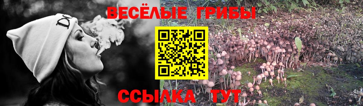 Галлюциногенные грибы MAGIC MUSHROOMS Россия