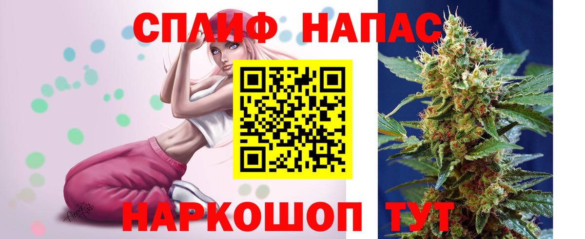 Конопля гибрид Россия